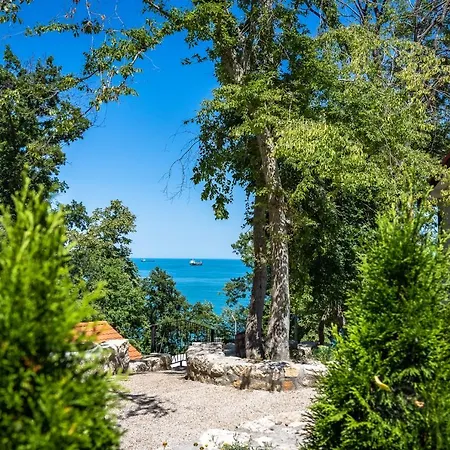 къщички синьо лято, черноморец - - Blue Summer *