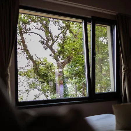 къщички синьо лято, черноморец - - Blue Summer * Varna