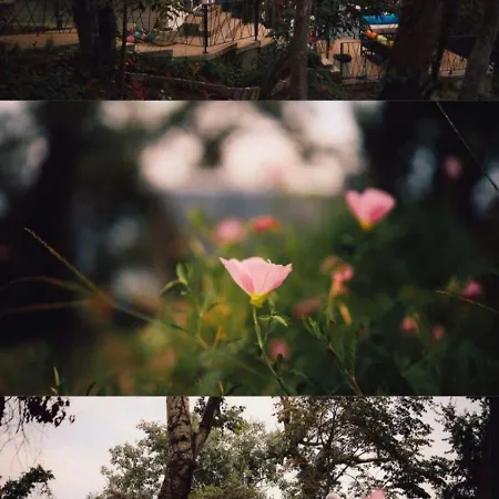 къщички синьо лято, черноморец - - Blue Summer Holiday home