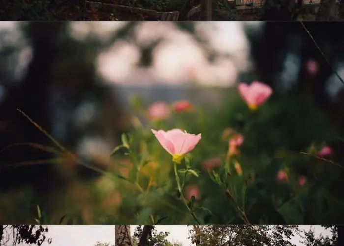 къщички синьо лято, черноморец - - Blue Summer Holiday home